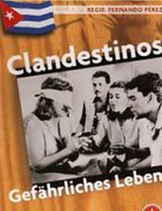 Подпольщики