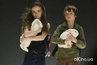 Кадр Знамение