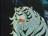 Кадр Чудотворные рыцари