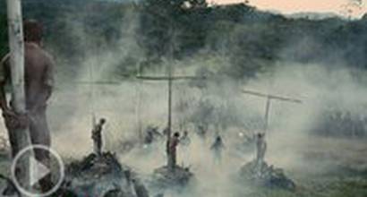 Международный трейлер 