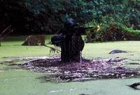 Кадр Куб Зеро (видео)