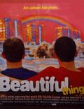 Постер из фильма "Красота" - 1