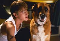 Кадр Рука-убийца