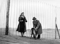 Кадр Маменькины сынки