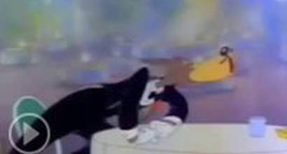 Мультфильм 