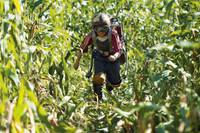 Кадр Земля будущего