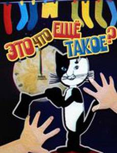 Это что ещё такое?