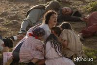 Кадр Гнездо жаворонка