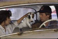 Кадр Стерлось из памяти