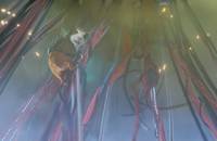 Кадр Миссия Дарвина