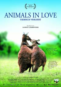 Постер Влюбленные животные
