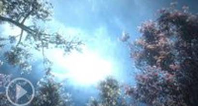 Американский трейлер 