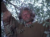 Кадр Юность Бемби