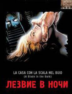 Лезвие в ночи