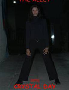 The Alley (видео)