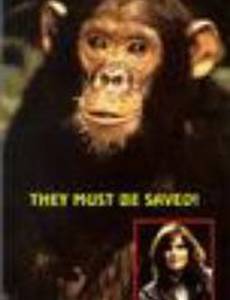 The Wild and the Free