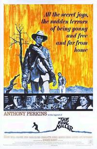 Постер Убийца дураков