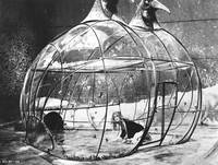 Кадр Барбарелла