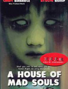 Дом безумных душ