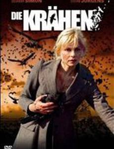 Вороны: черная стая