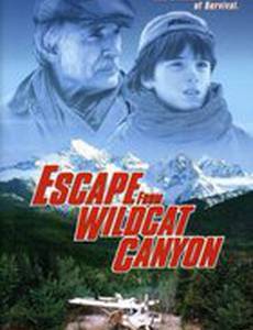 Побег из каньона дикой кошки