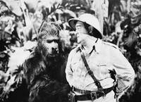 Кадр Африка зовёт