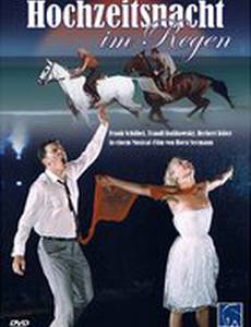 Свадебная ночь под дождем