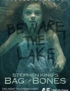 Мешок с костями