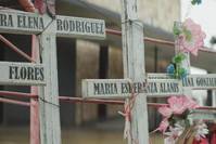 Кадр Kingdom of Shadows