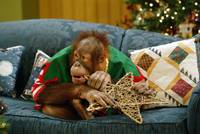 Кадр Страсть