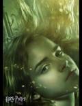 Постер из фильма "Гарри Поттер и Кубок огня" - 1