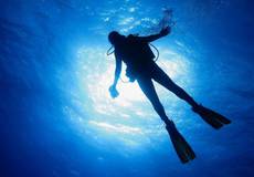 Кэмерон нашел режиссера для фильма о дайверах