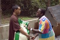 Кадр Вне закона