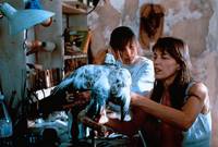 Кадр Очаровательная проказница