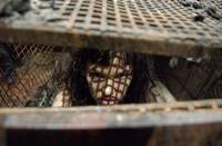 Кадр Не вижу зла