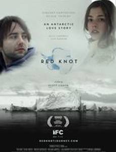 Красный узел