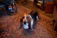 Кадр Где-то сегодня ночью