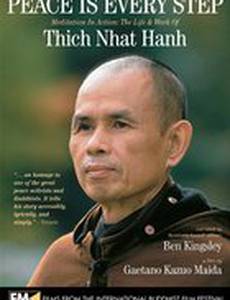 Peace Is Every Step: Meditation in Action: The Life and Work of Thich Nhat Hanh