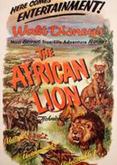 Африканский лев