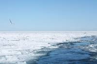 Кадр Город на краю зимы