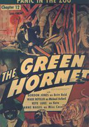 Зеленый Шершень