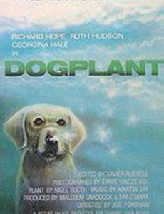 Dogplant