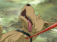 Кадр Военная баллада цвета лайма