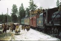 Кадр Перевал Брейкхарт