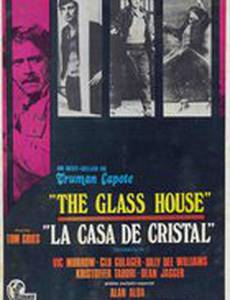 Стеклянный дом