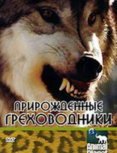 Прирожденные греховодники