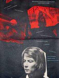 Дневные звезды