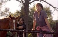 Кадр Трансамерика