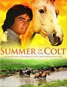 Фьерро... Тайны одного лета