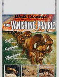 Исчезающая прерия